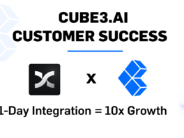 CUBE3 Customer Success